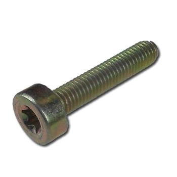 Torx screw fits Stihl T27 - M5 x 25